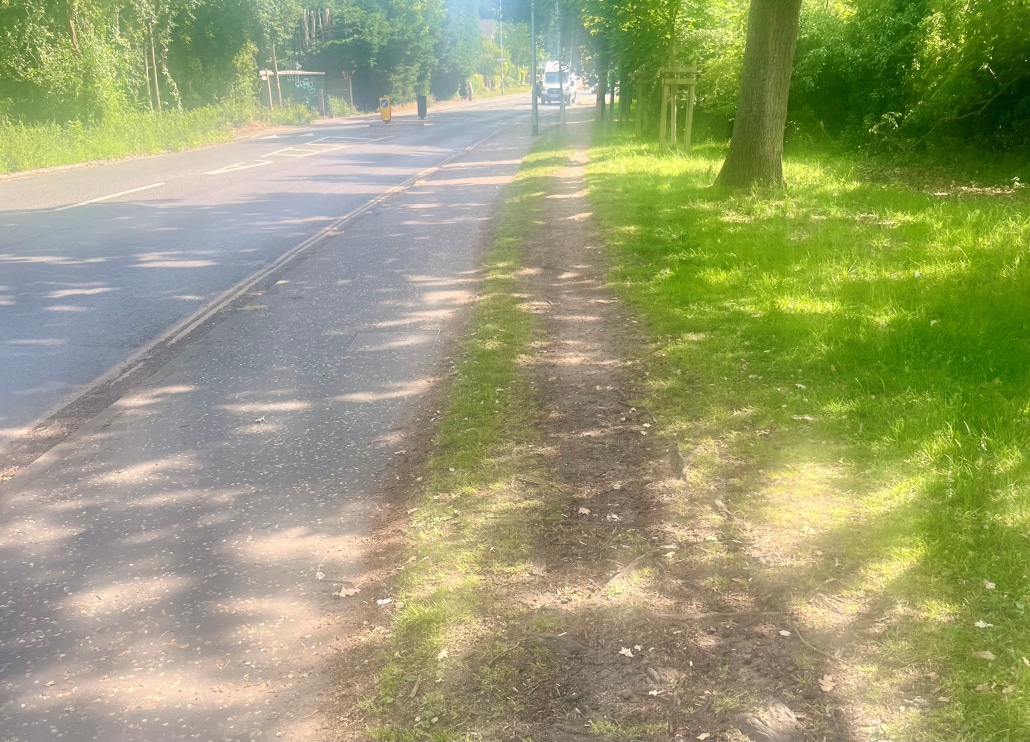Desire Path